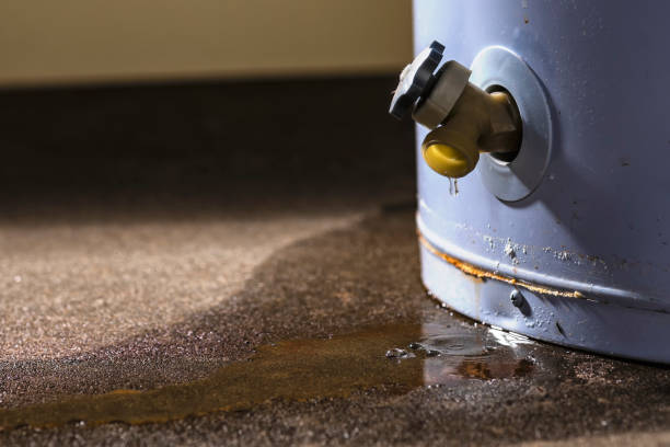 Best Basement water damage restoration  in Ranson, WV