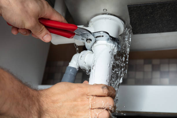 Best Mold removal after water damage  in Ranson, WV
