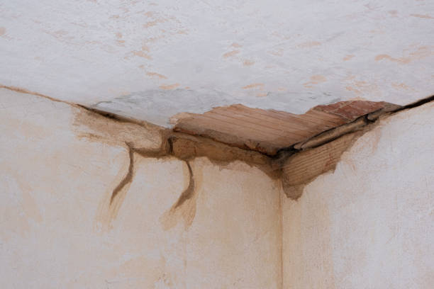 Best Water damage restoration near me  in Ranson, WV