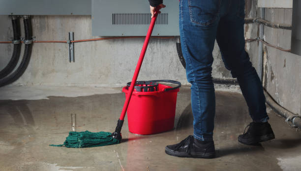 Best Flooded house restoration  in Ranson, WV