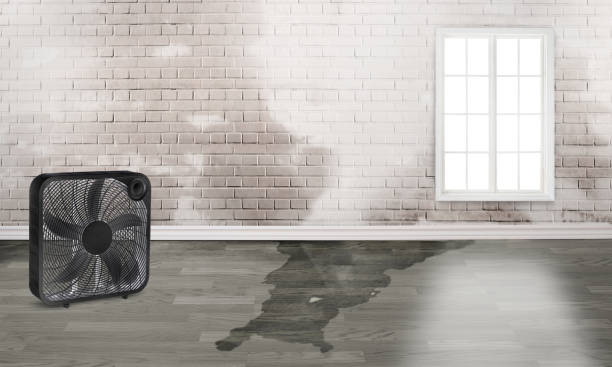 Water damage restoration process in Ranson, WV