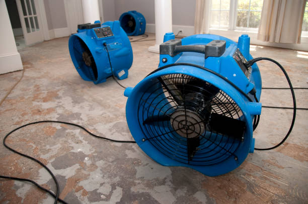 Best 24/7 water damage repair  in Ranson, WV