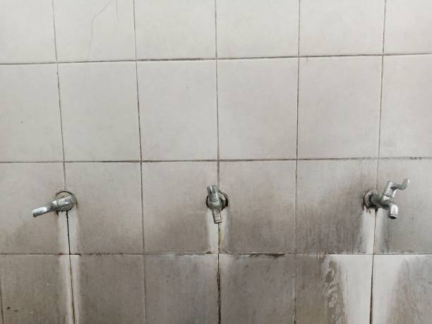 Best 24-hour water damage restoration  in Ranson, WV