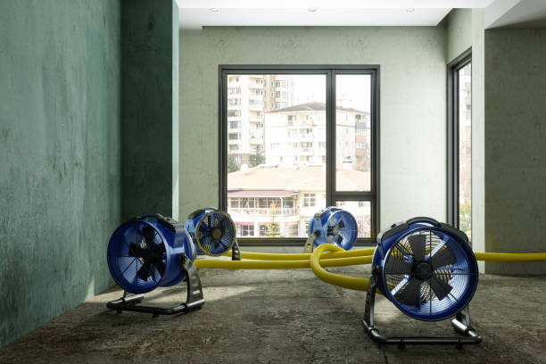 Best Water damage contractors near me  in Ranson, WV