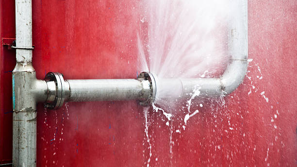 Best Mold removal after water damage  in Ranson, WV